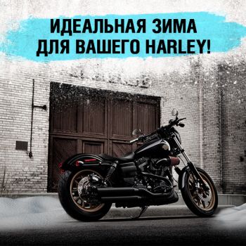 Идеальная зима для вашего Harley!